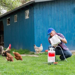 Pulvérisateur à poudre - BIRCHMEIER DR 5