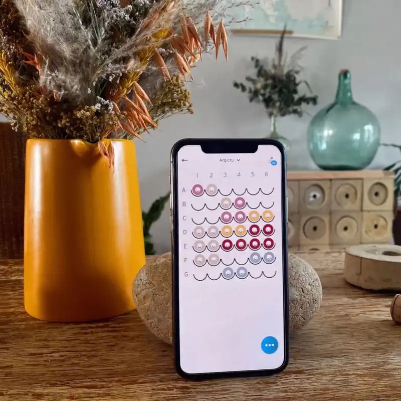 Application PLOC pour le suivi de cave